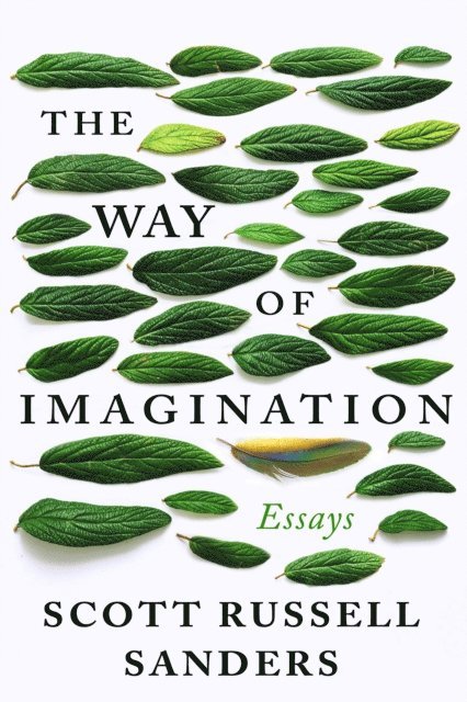Scott Russell Sanders - Way of Imagination, E-bok