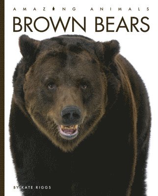 Kate Riggs - Brown Bears, Inbunden. Tillgänglighet: Lägg i varukorg