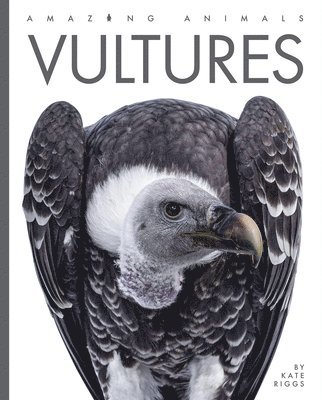 Kate Riggs - Vultures, Inbunden