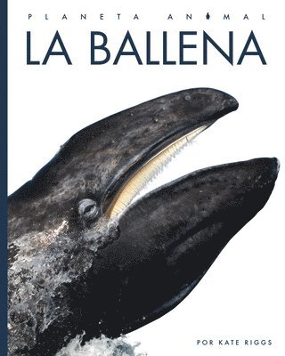 Kate Riggs - La Ballena, Inbunden. Tillgänglighet: Lägg i varukorg