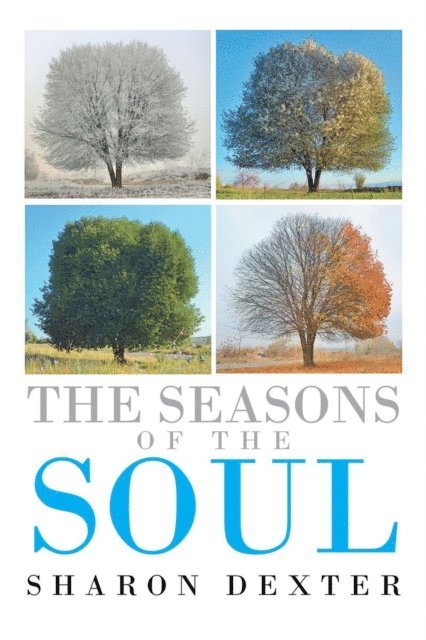 Sharon Dexter - Seasons of the Soul, E-bok