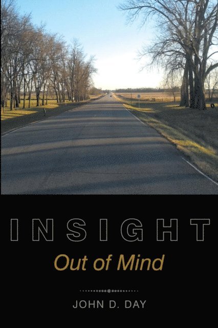 John  D. Day - Insight, E-bok