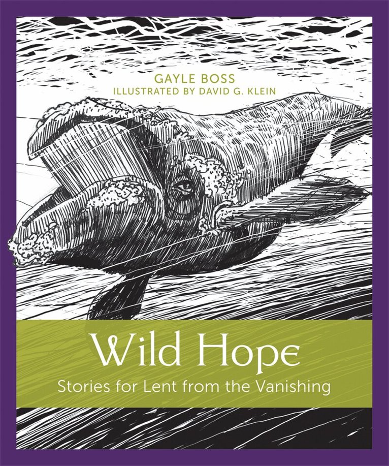 Gayle Boss - Wild Hope, Häftad