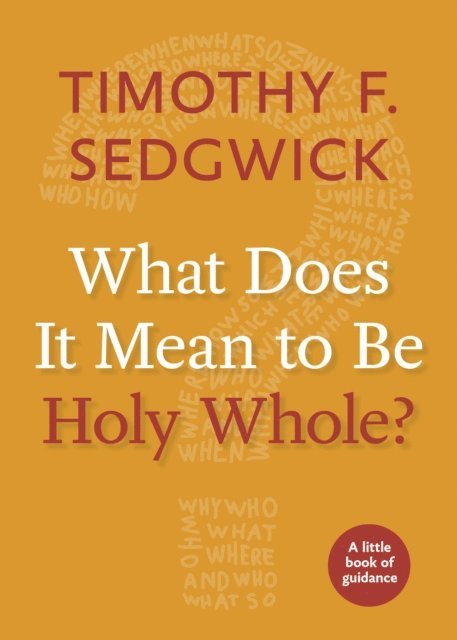 Timothy F. Sedgwick - What Does It Mean to Be Holy Whole?, E-bok