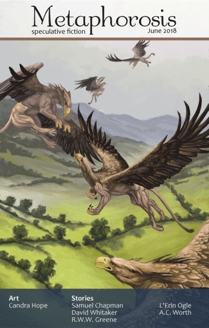 Metaphorosis Magazine, B. Morris Allen - Metaphorosis June 2018, E-bok