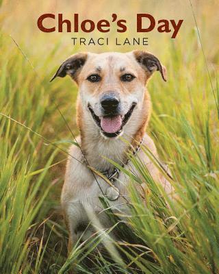 Traci Lane - Chloe's Day, Häftad. Tillgänglighet: Lägg i varukorg