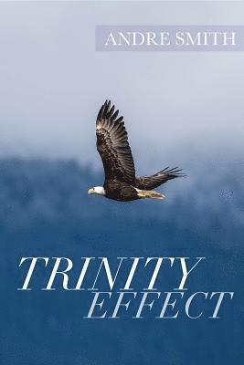 Andre Smith - Trinity Effect, E-bok. Tillgänglighet: Lägg i varukorg