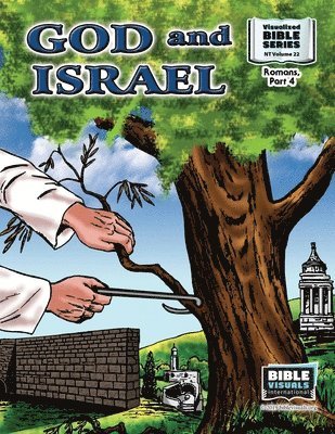Marilyn P. Habecker, Bible Visuals International - God and Israel: New Testament Volume 22: Romans Part 4, Häftad