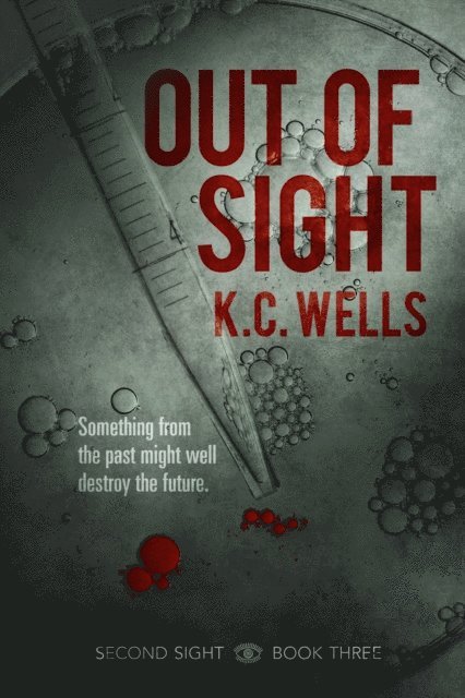 K.C. Wells - Out of Sight, E-bok