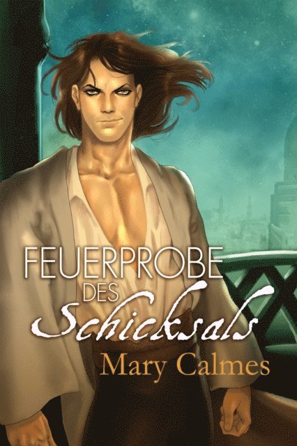 Mary Calmes - Feuerprobe des Schicksals, E-bok