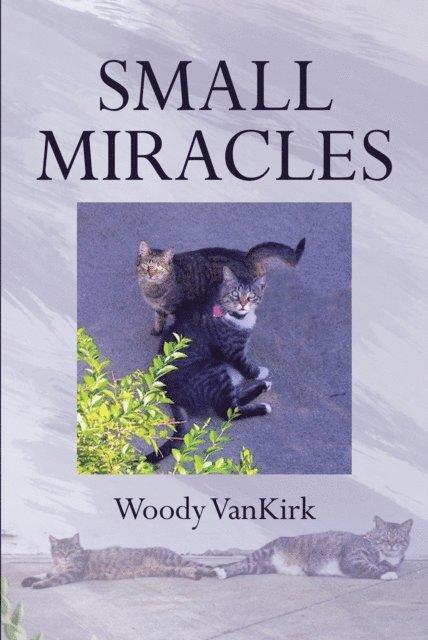 Woody VanKirk - Small Miracles, E-bok. Tillgänglighet: Lägg i varukorg