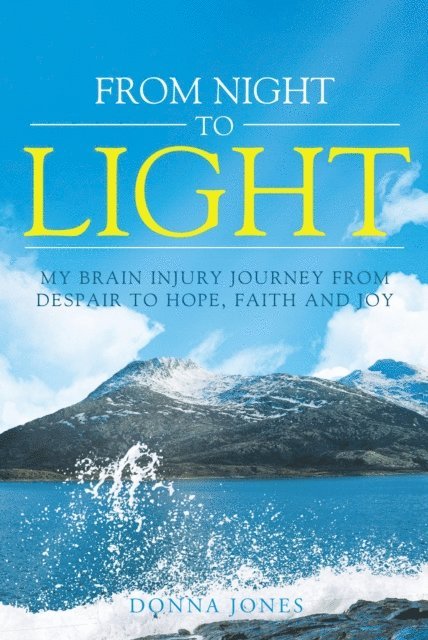 Donna Jones - From Night to Light, E-bok