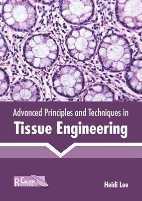 Heidi Lee - Advanced Principles and Techniques in Tissue Engineering, Inbunden