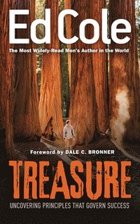 Treasure: Uncovering Principles That Govern Success (Reissue)