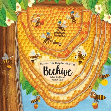 Petra Bartikova - Beehive, Kartonnage