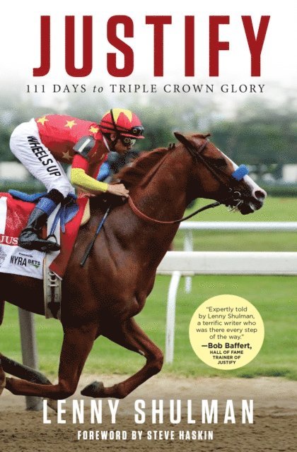 Lenny Shulman - Justify, E-bok