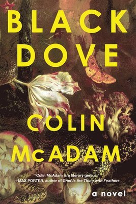 Colin McAdam - Black Dove, Inbunden