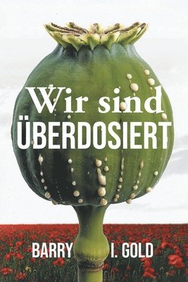 Barry I Gold - Wir sind Überdosiert, Häftad