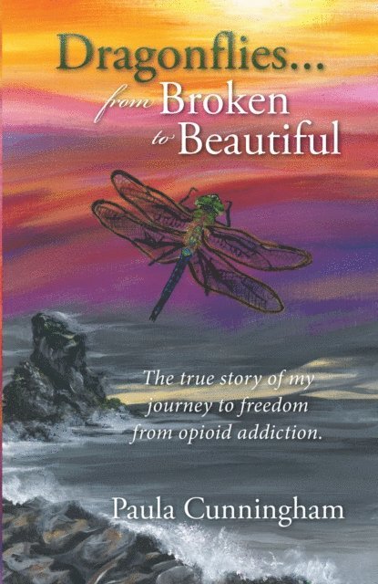 Paula Cunningham - Dragonflies...From Broken to Beautiful, E-bok