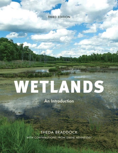 Theda Braddock, Dianne Hennessey - Wetlands, E-bok. Tillgänglighet: Lägg i varukorg