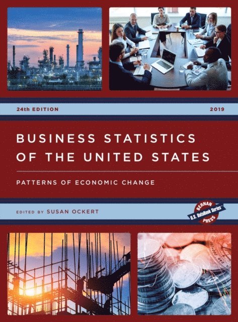 Susan Ockert - Business Statistics of the United States 2019, E-bok