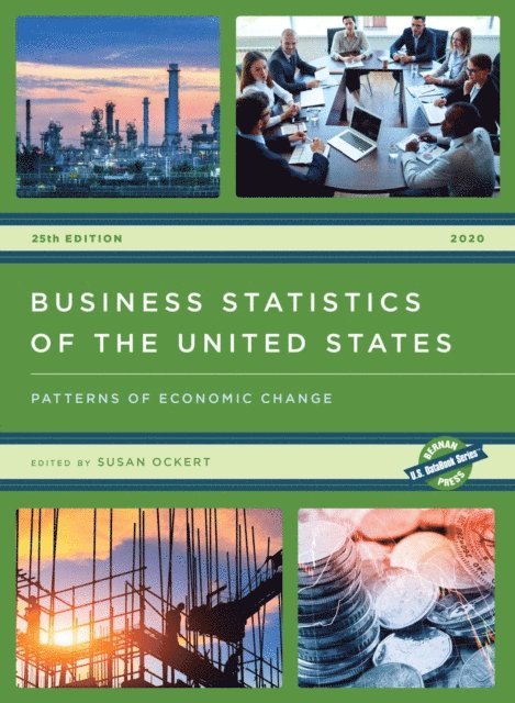 Susan Ockert - Business Statistics of the United States 2020, E-bok