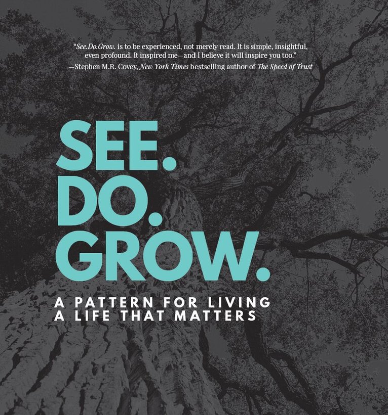Justin Tomlinson, Jenny Schumacher - See. Do. Grow., Inbunden