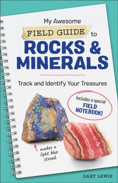 Gary Lewis - My Awesome Field Guide to Rocks & Minerals, E-bok