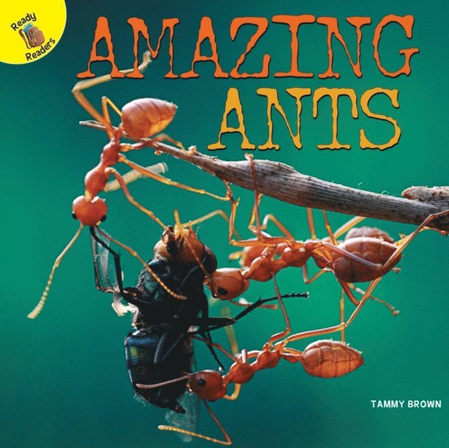 Tammy Brown - Amazing Ants, E-bok