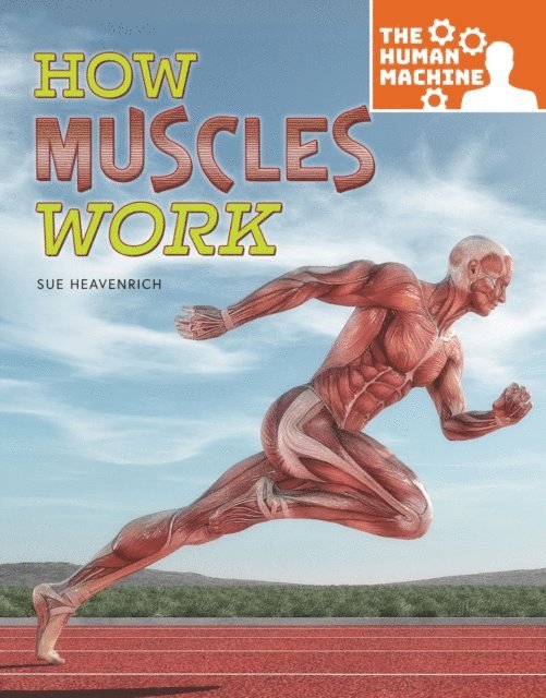 Sue Heavenrich - How Muscles Work, E-bok