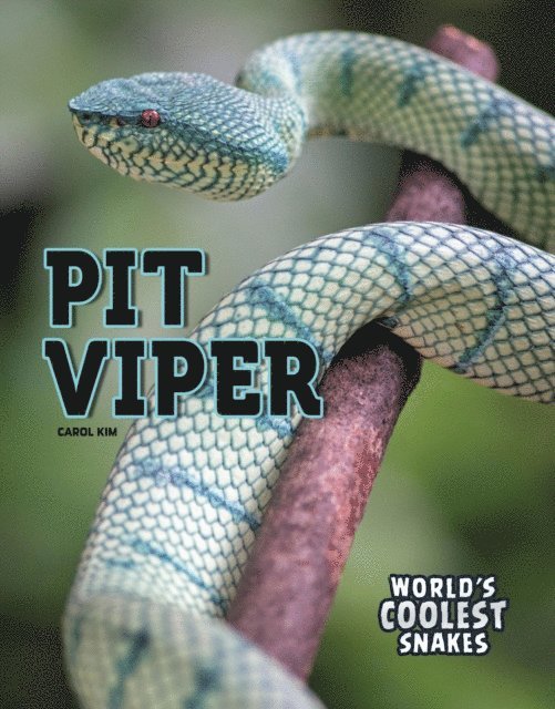 Carol Kim - Pit Viper, E-bok