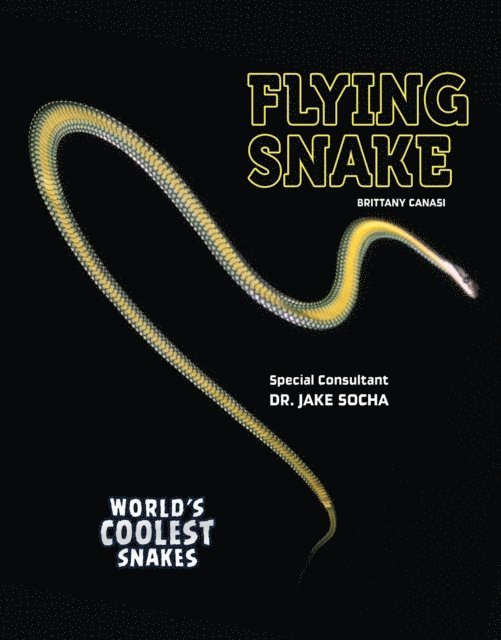 Brittany Canasi - Flying Snake, E-bok