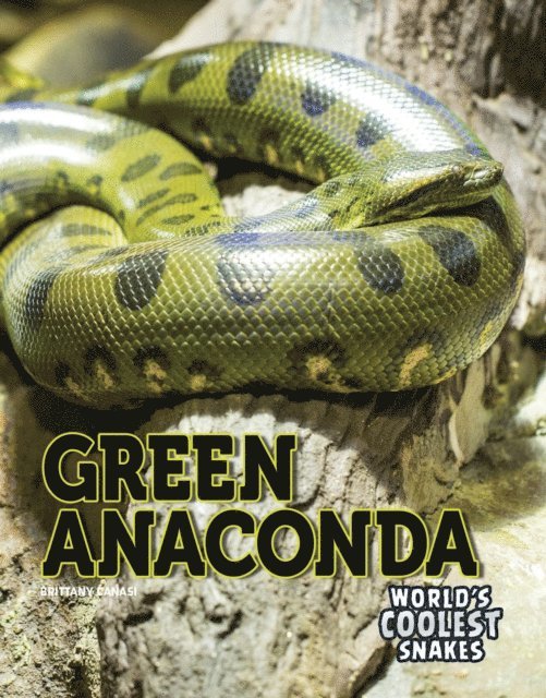 Brittany Canasi - Green Anaconda, E-bok