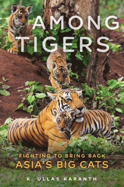 K. Ullas Karanth - Among Tigers, E-bok