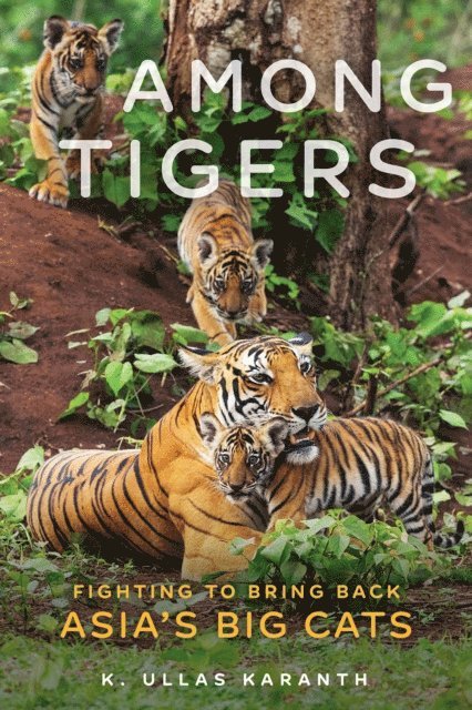 K. Ullas Karanth - Among Tigers, E-bok