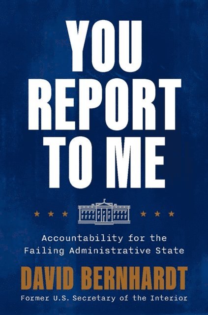 David Bernhardt - You Report to Me, E-bok