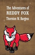 Adventures of Reddy Fox