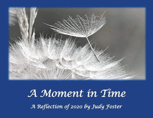 Judy Foster - A Moment in Time: A Reflection of 2020, Häftad