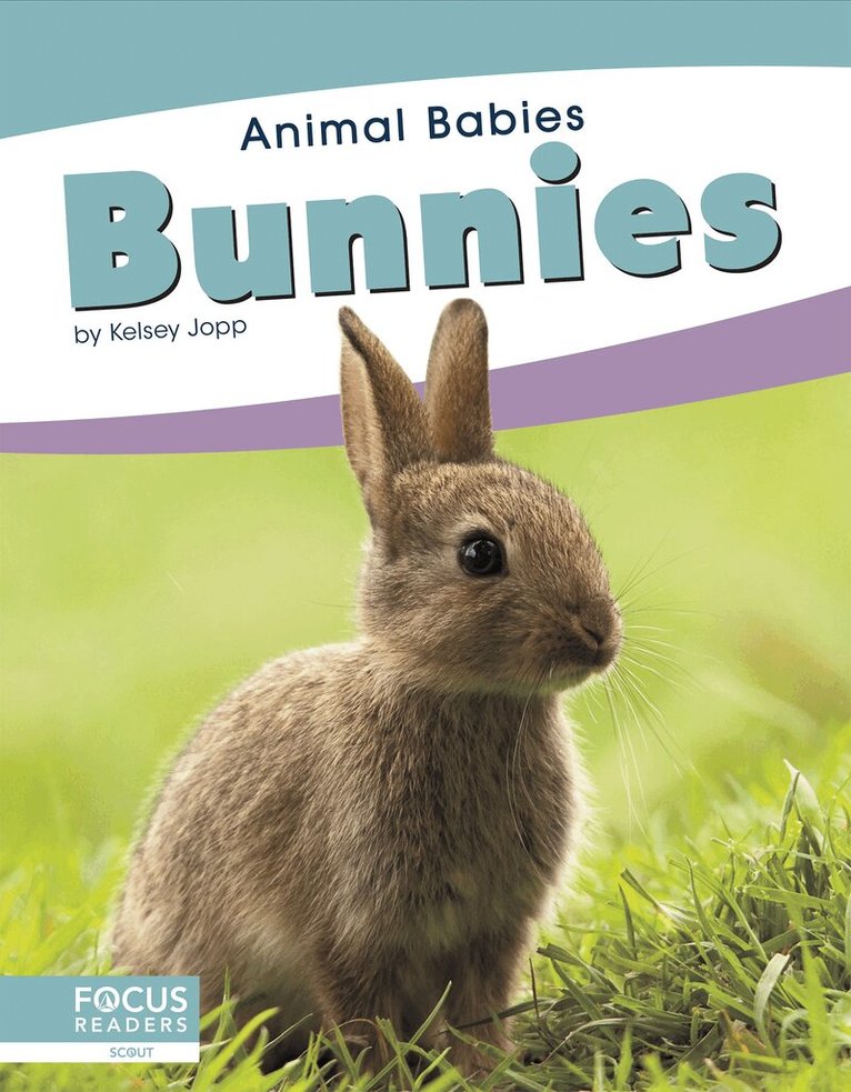 Kelsey Jopp - Bunnies, Inbunden