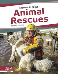 Rescues in Focus: Animal Rescues