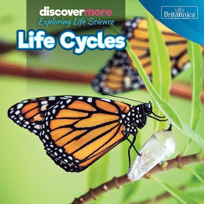 Ernest Brazzos - Life Cycles, Häftad