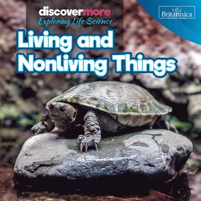 Ernest Brazzos - Living and Nonliving Things, Häftad
