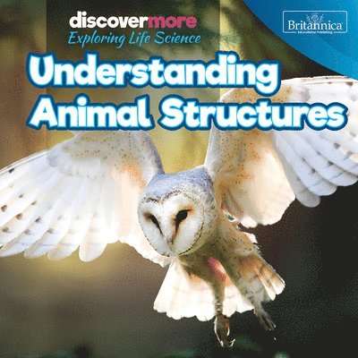 Ernest Brazzos - Understanding Animal Structures, Häftad