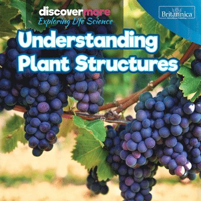 Ernest Brazzos - Understanding Plant Structures, Häftad