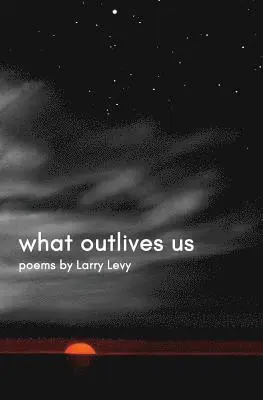 Larry Levy - What Outlives Us, Häftad. Tillgänglighet: Lägg i varukorg