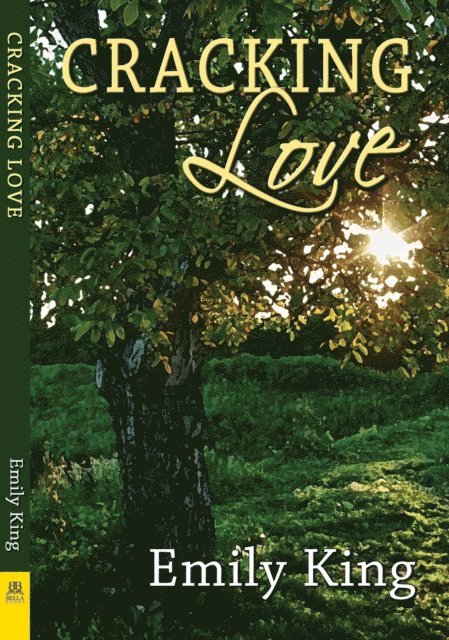 Emily King - Cracking Love, E-bok