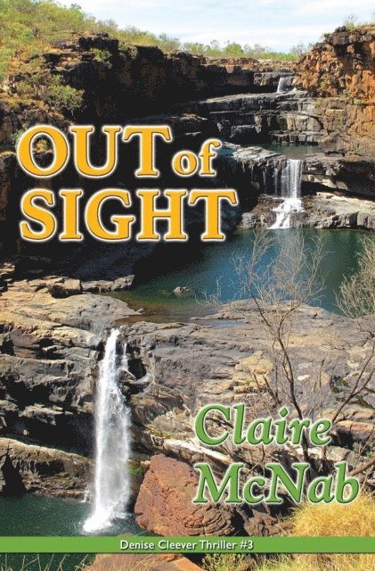 Claire McNab - Out of Sight, E-bok