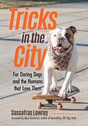Sassafras Lowrey - Tricks in the City, Häftad