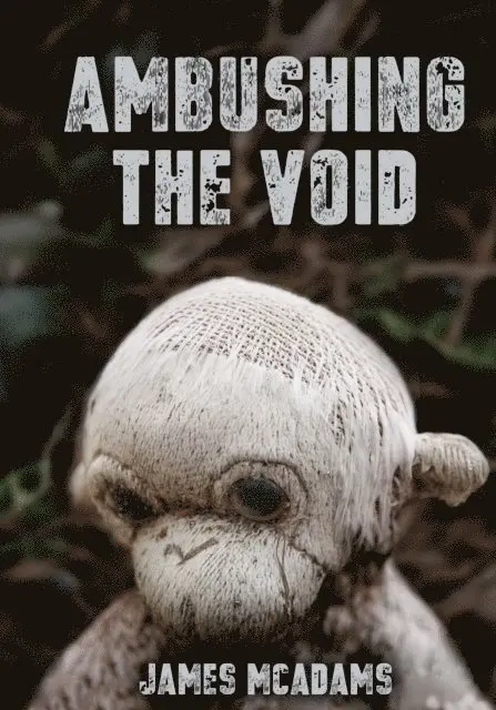 James McAdams - Ambushing the Void, E-bok. Tillgänglighet: Lägg i varukorg