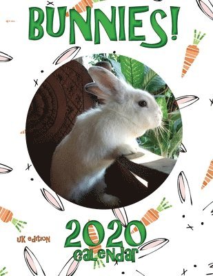 Sea Wall Uk - Bunnies! 2020 Calendar (UK Edition), Häftad. Tillgänglighet: Lägg i varukorg